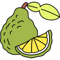 BERGAMOT