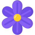 HYACINTH