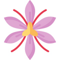 SAFFRON